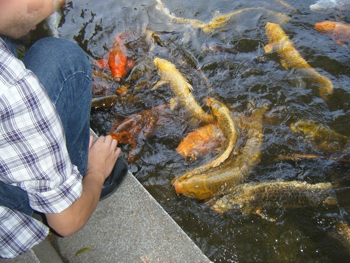 🌳 우정의 샘 정자 공원(유센테이 코엔) 이미지 6